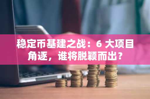 稳定币基建之战：6 大项目角逐，谁将脱颖而出？