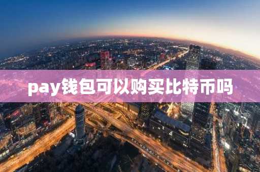 pay钱包可以购买比特币吗