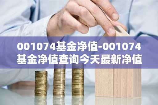 001074基金净值-001074基金净值查询今天最新净值