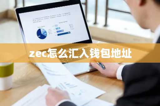 zec怎么汇入钱包地址