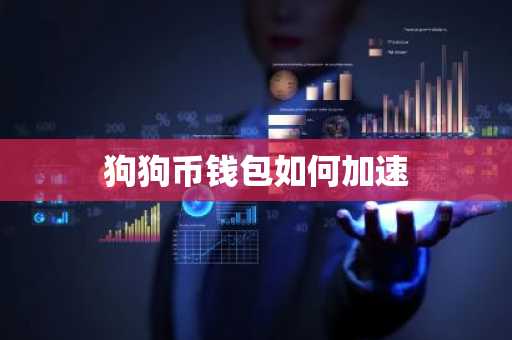 狗狗币钱包如何加速
