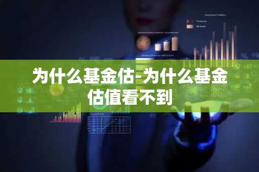 为什么基金估-为什么基金估值看不到