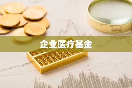 企业医疗基金