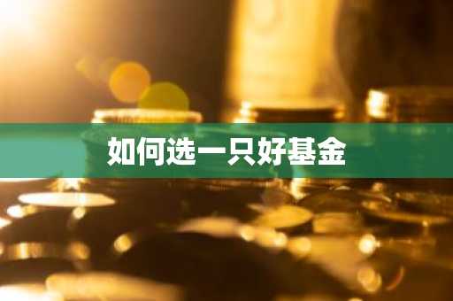 如何选一只好基金