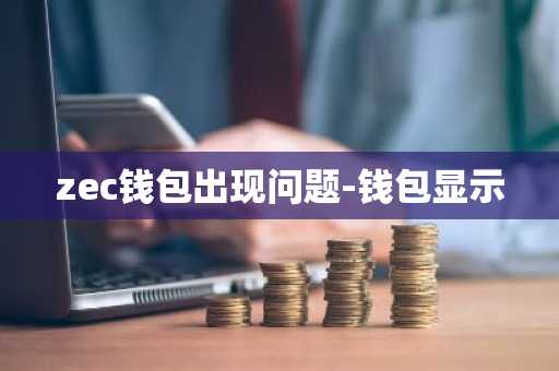 zec钱包出现问题-钱包显示