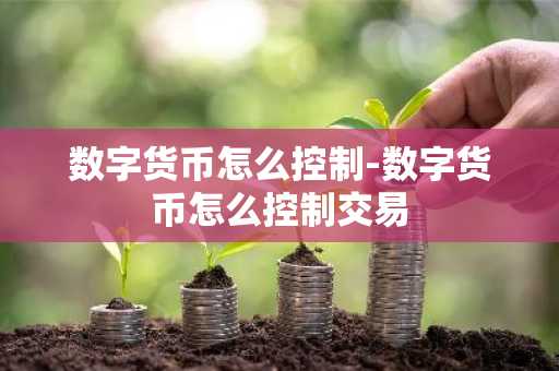 数字货币怎么控制-数字货币怎么控制交易
