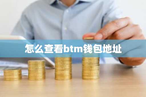 怎么查看btm钱包地址