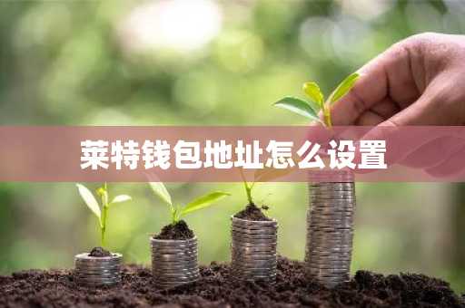 莱特钱包地址怎么设置