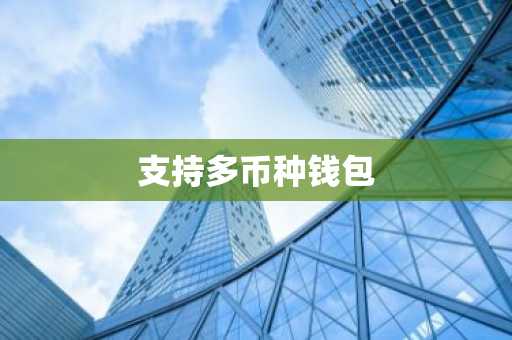 支持多币种钱包