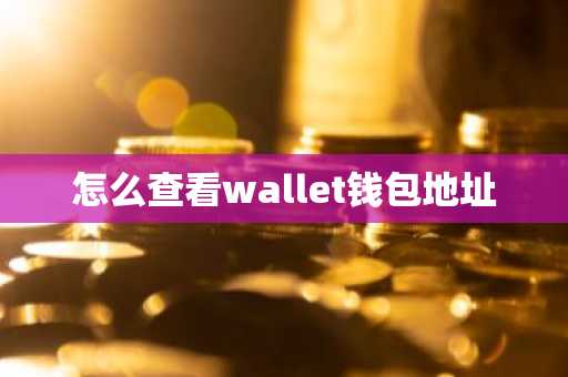 怎么查看wallet钱包地址
