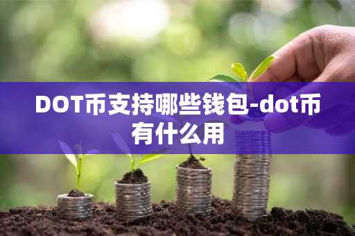 DOT币支持哪些钱包-dot币有什么用