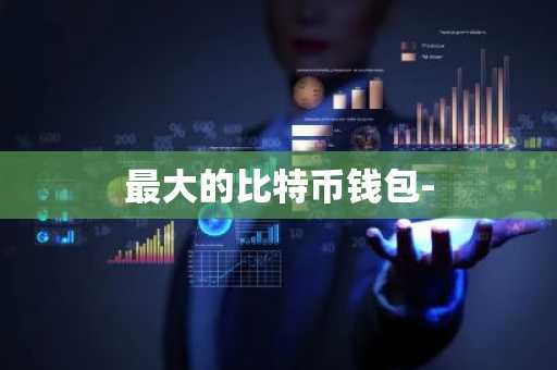 最大的比特币钱包-