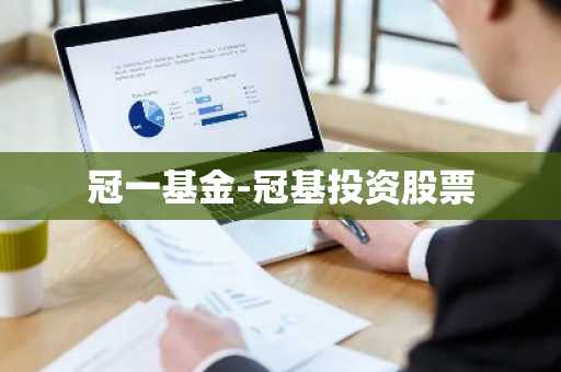 冠一基金-冠基投资股票