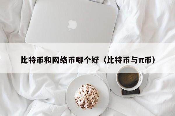 比特币和网络币哪个好（比特币与π币）