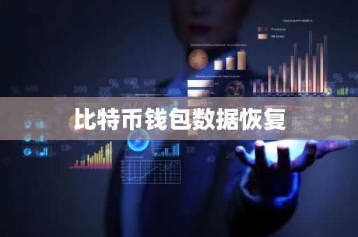 比特币钱包数据恢复