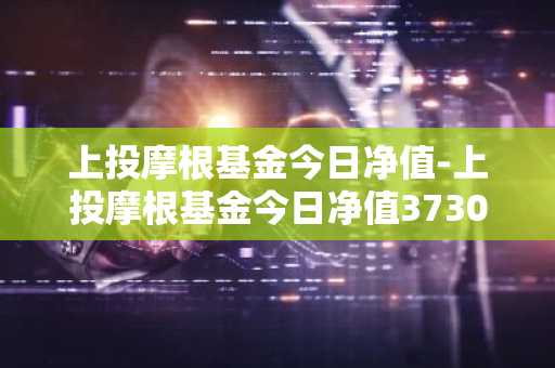 上投摩根基金今日净值-上投摩根基金今日净值373010