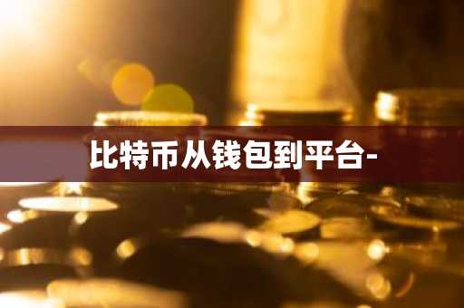 比特币从钱包到平台-