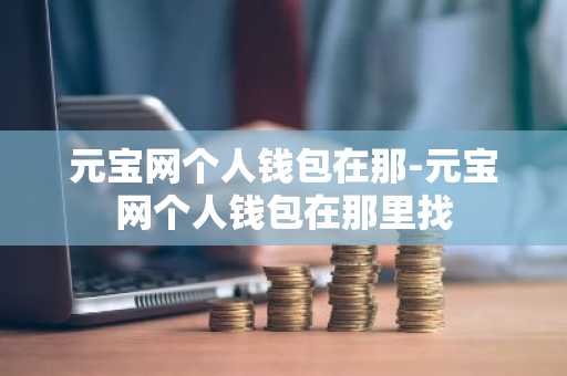 元宝网个人钱包在那-元宝网个人钱包在那里找
