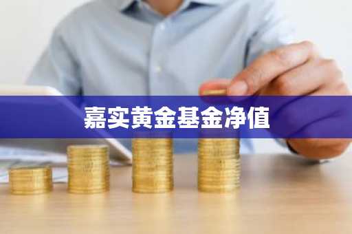 嘉实黄金基金净值