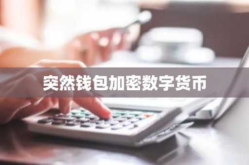 突然钱包加密数字货币
