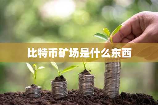 比特币矿场是什么东西
