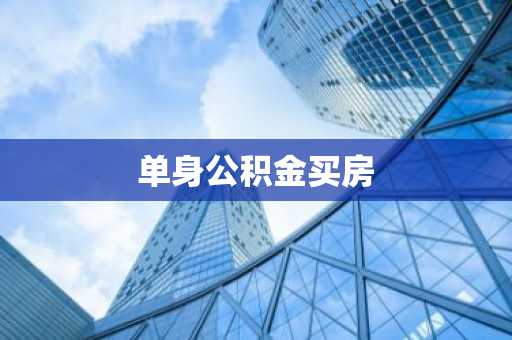 单身公积金买房
