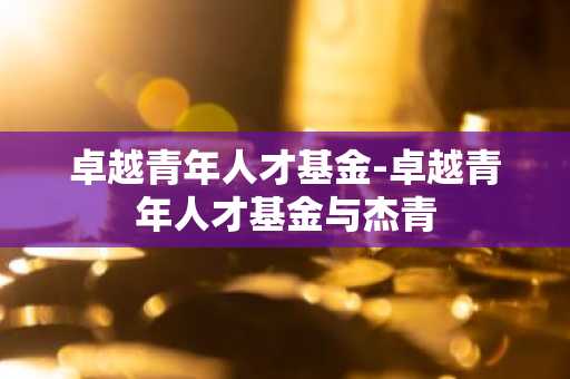 卓越青年人才基金-卓越青年人才基金与杰青