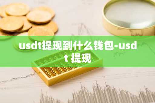 usdt提现到什么钱包-usdt 提现