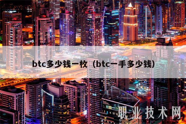 btc多少钱一枚（btc一手多少钱