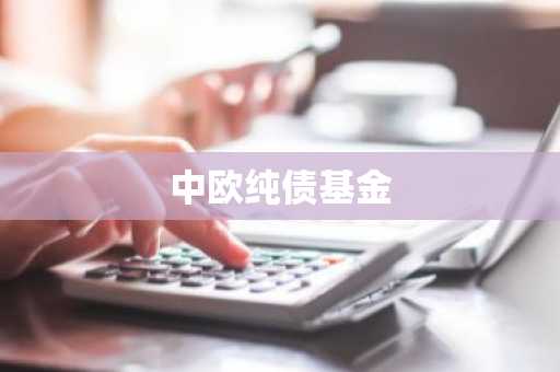 中欧纯债基金