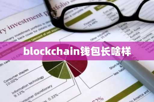 blockchain钱包长啥样