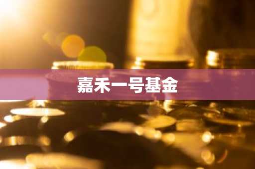 嘉禾一号基金