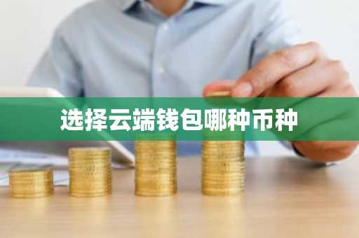 选择云端钱包哪种币种