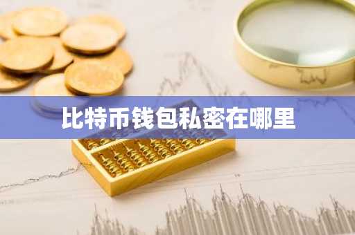 比特币钱包私密在哪里
