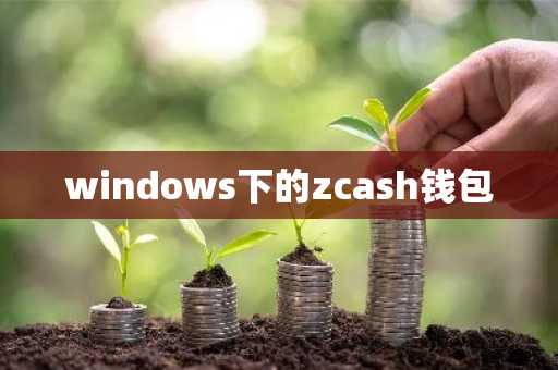 windows下的zcash钱包