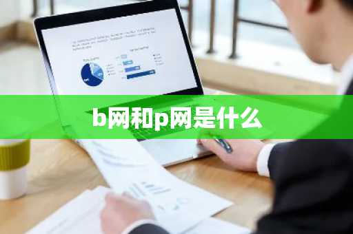 b网和p网是什么