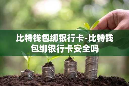 比特钱包绑银行卡-比特钱包绑银行卡安全吗