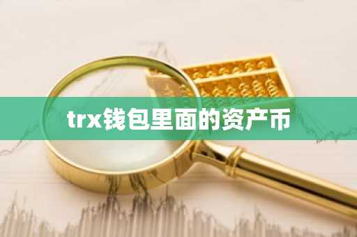 trx钱包里面的资产币