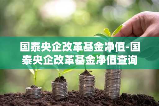 国泰央企改革基金净值-国泰央企改革基金净值查询