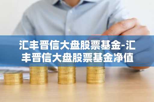 汇丰晋信大盘股票基金-汇丰晋信大盘股票基金净值