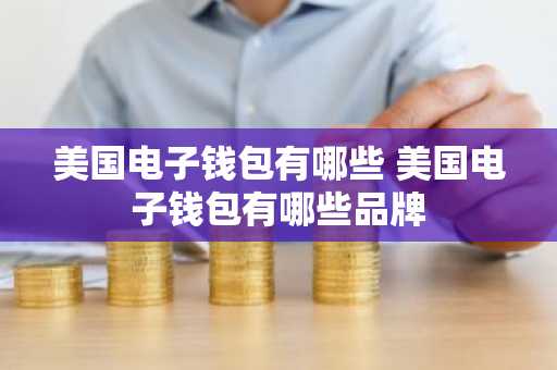 美国电子钱包有哪些 美国电子钱包有哪些品牌