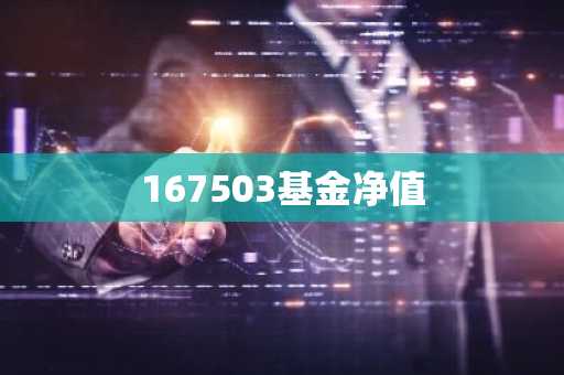 167503基金净值