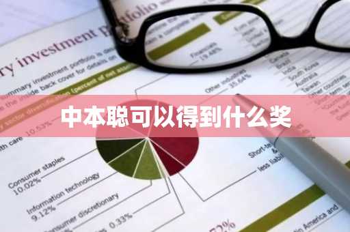 中本聪可以得到什么奖