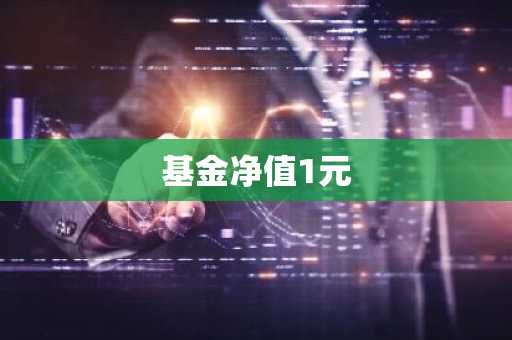 基金净值1元