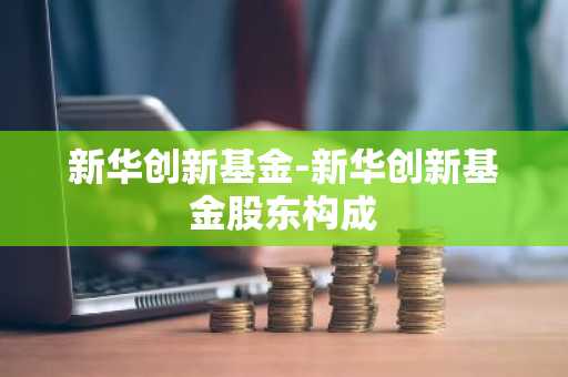 新华创新基金-新华创新基金股东构成