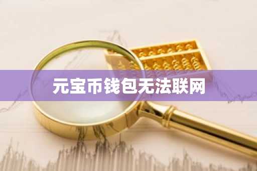 元宝币钱包无法联网