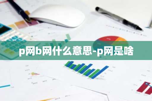 p网b网什么意思-p网是啥