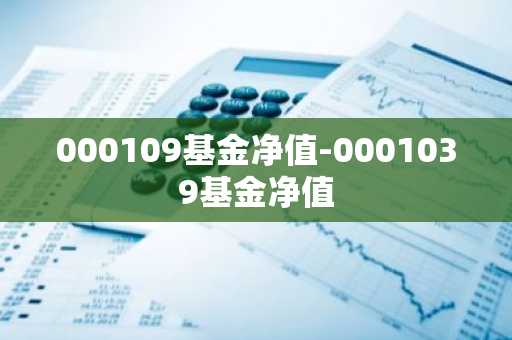 000109基金净值-0001039基金净值