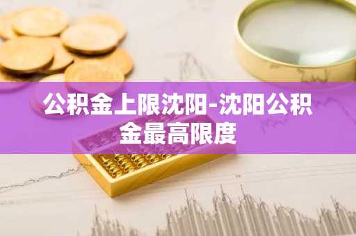 公积金上限沈阳-沈阳公积金最高限度