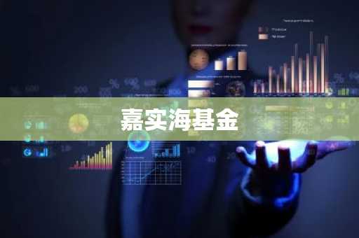 嘉实海基金